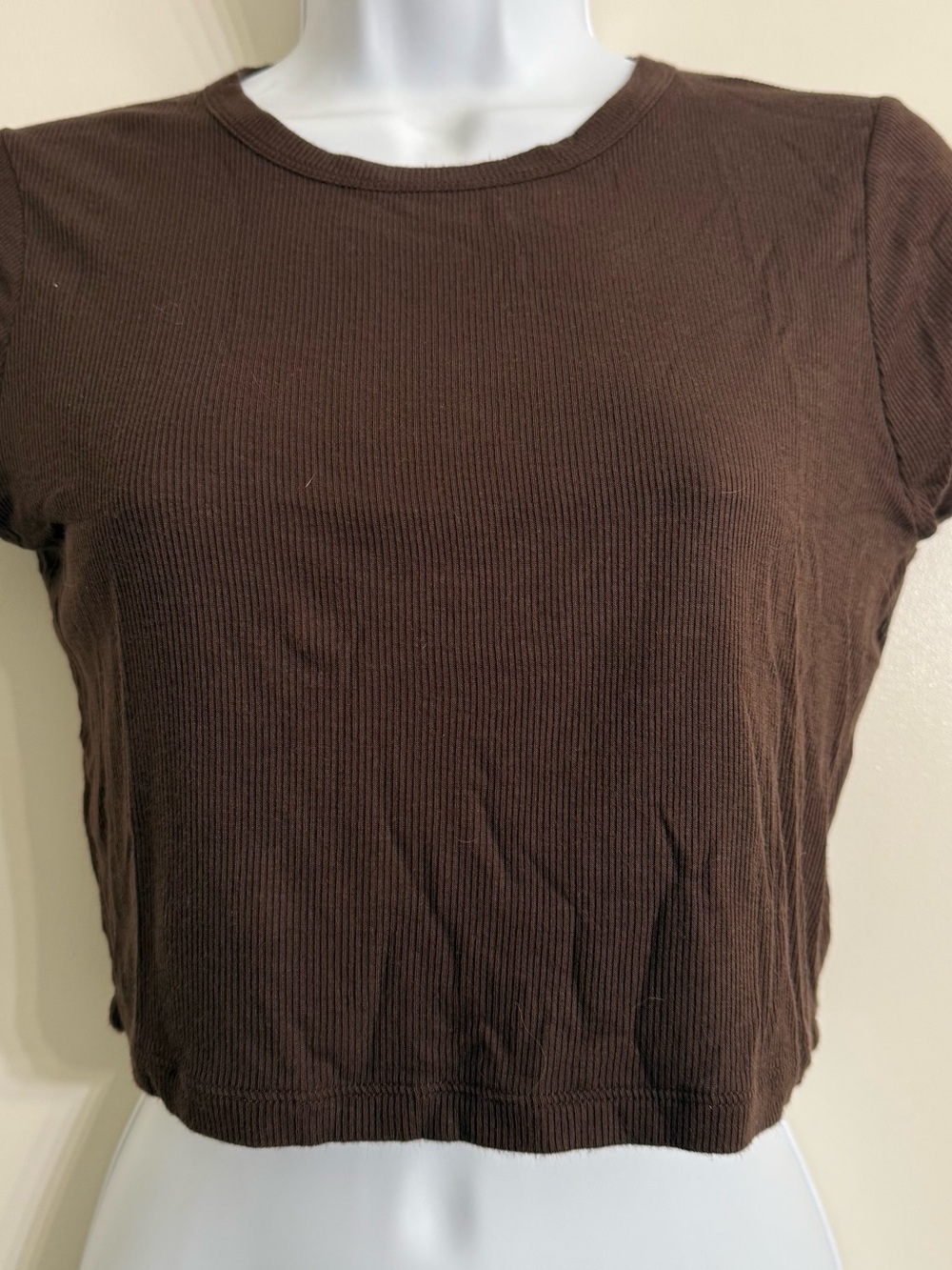 PacSun Black Ribbed Short Sleeve  Basics Crop Tee brown small - Picture 2 of 7